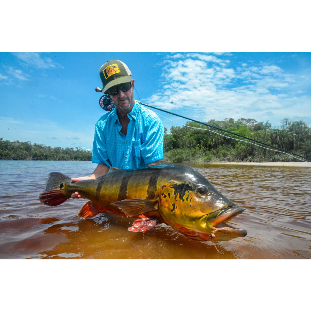 Temensis Paca Atracción Global: La Pesca del Tucunaré