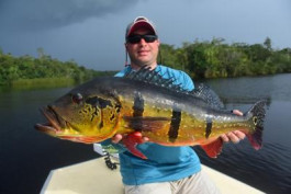 Rio Marié Season 2021 Fishing Report	