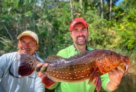Rio Marié 2019 Season Fishing Report 