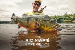 The Rio Marié Experience 