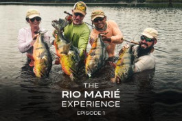 The Rio Marié Experience