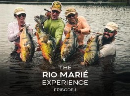 The Rio Marié Experience
