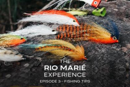 The Rio Marié Experience