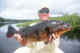 Rio Marié Season 2021 Fishing Report	