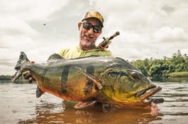 Recorde mundial de pesca de fly: Tucunaré de 91cm é o maior da categoria All-Tackle