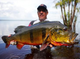 Rio Marié 2022 Season Fishing Report | Week 17