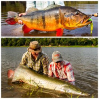 Spectacular Combo Trip - Marié and Pirarucú!