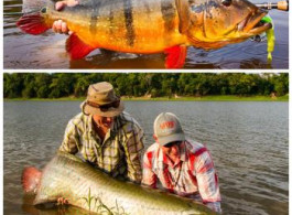 Spectacular Combo Trip - Marié and Pirarucú!