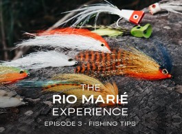 The Rio Marié Experience - Episode 3