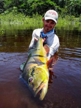 Rio Marié 2016 Mid Season Report - Sept/Oct