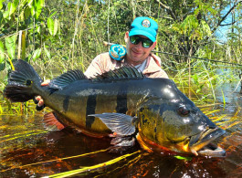 The Unyielding Pursuit of Giants