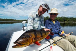 Monster Peacock Bass with Sustainability at the Heart