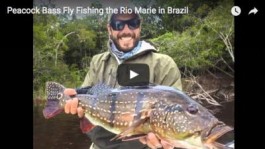 Rio Marié Trip Photo Slideshow