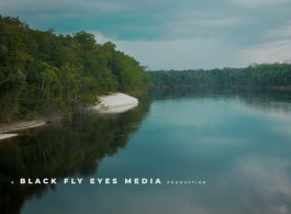 Rio de Gigantes, Rio Marié, Brasil