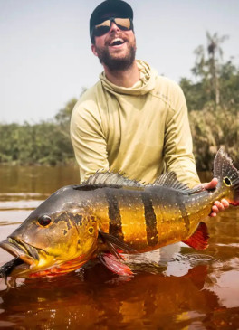 Hacia las cabeceras: en busca de pavones gigantes en el río Marié