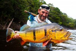 World Class Fly Fishing for Peacock Bass on the Horizon