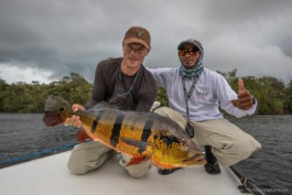 Rio Marié - The largest Giant Peacock Bass ever caught on fly!