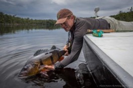 Deep in the Amazon Jungle - Rio Marié – exploring upstream in search of Giant Peacock Bass