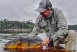 Rio Marié 2017 Season Fishing Report 