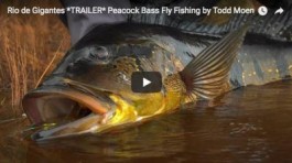 Trailer: Fly Fishing for Giant Peacock Bass at Rio Marié in Rio de Gigantes