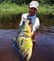 Rio Marié 2016 Mid Season Roport