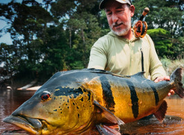 King of the Jungle | The IGFA Magazine
