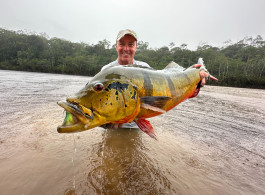 Breaking News: A New IGFA World Record for the Largest Peacock Bass! It's 94!!!