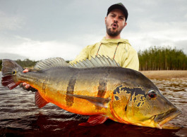 Se revelan las aguas de trofeos: Informe de pesca de la semana 15 de Río Marié