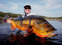 Marié 2025 Season Fishing Report | Largest Peacock Bass of the Season