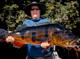 Informe de Pesca Temporada Marié 2025 | Un Regreso Fuerte al Río de los Gigantes – Semana 20