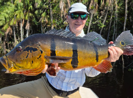 Marié 2025 Season Fishing Report | Fast Drops, Strong Reactions Week 18