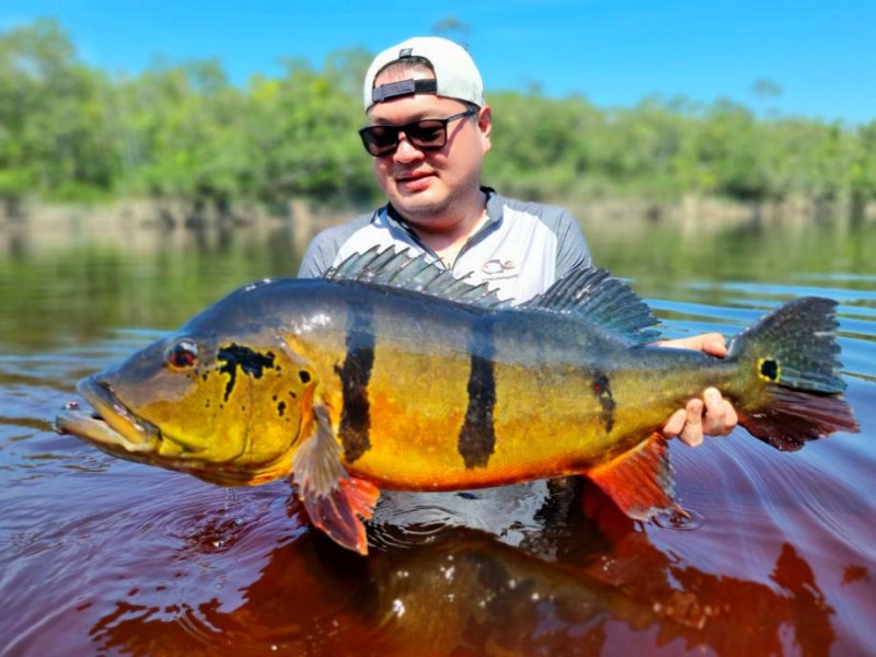 Rio Marié 2022 Season Fishing Report | Week 12 | Marié Rio de Gigantes