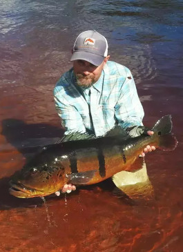 A Return to Rio Marie