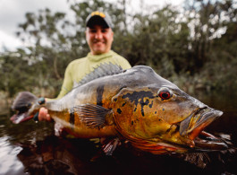Marié 2026 Season Fishing Report | A Strong Opening for Trophy Class Peacock Bass