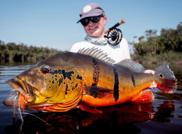 Marié 2025 Season Fishing Report | Over 100 Peacock Bass Above 80 cm